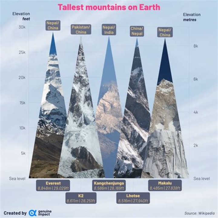 Which forest is highest in world?