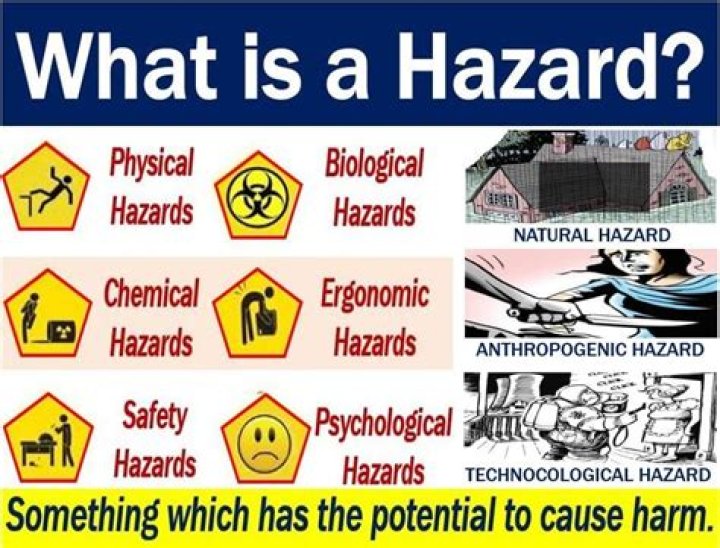 Which of the following are potential effects of a health hazard?