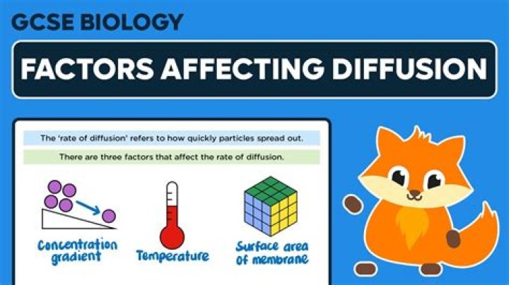 Which of the following factors affect induced drag?