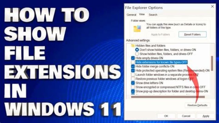 Which of the following file extensions indicates a Windows system file select two correct answer?