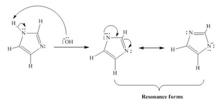 Which option explains why this amino acid can act as both an acid and a base?
