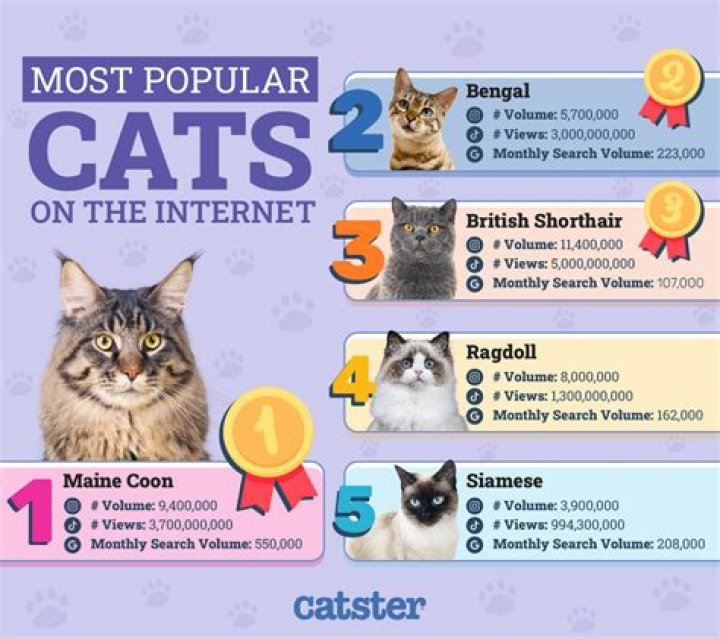 Which person has the most cats?
