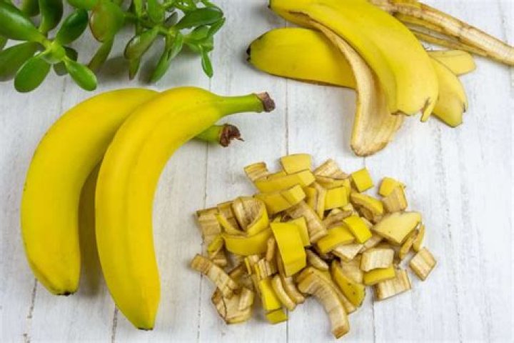 Which plants like banana peel fertilizer?