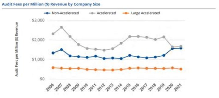 Which side does audit fees increase?