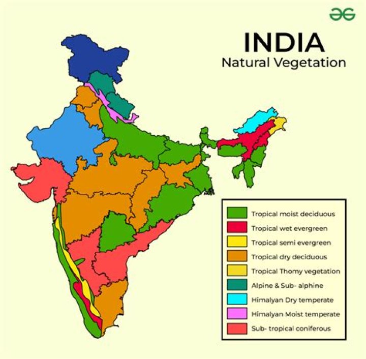 Which type of vegetation is highest in India?