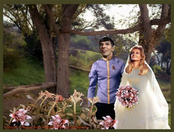 Who did Spock marry?