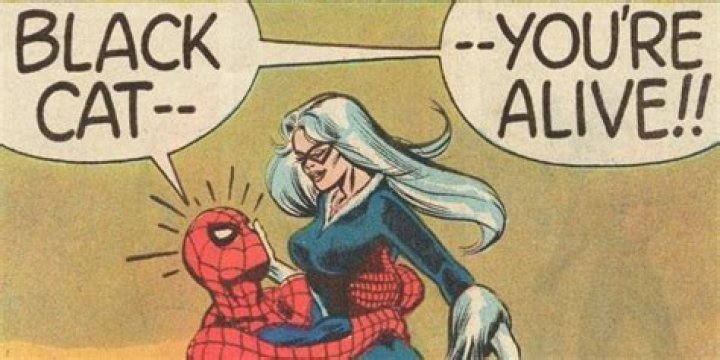 Who does Black Cat marry?