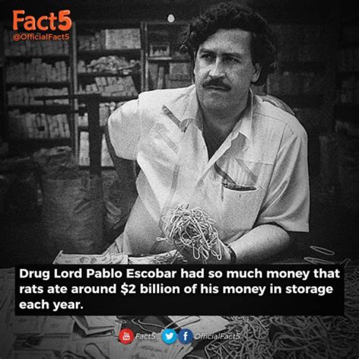 Who found Pablo Escobar money?