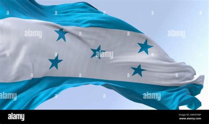Who has a turquoise flag?
