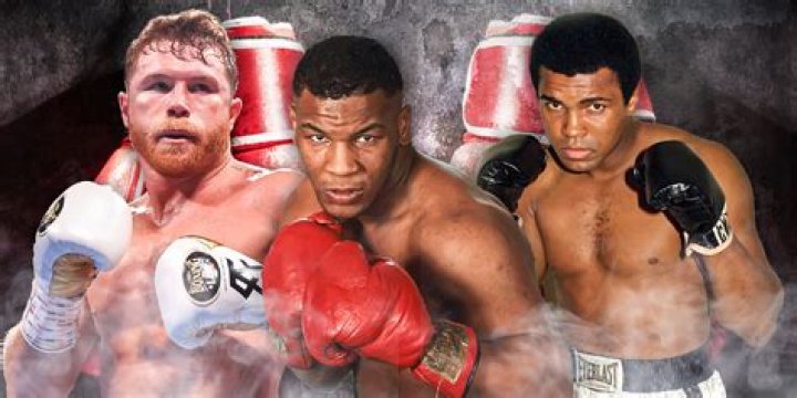 Who hit the hardest in boxing?