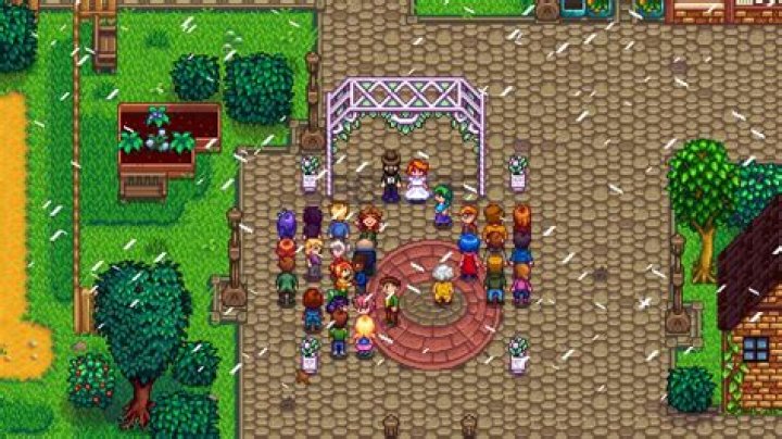 Who is the best spouse in Stardew Valley?