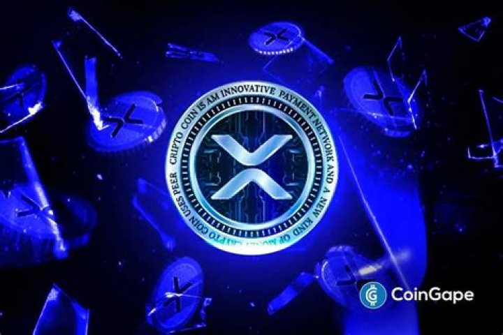 Who owns XRP currency?