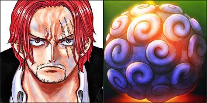 Who was previous owner of Gomu Gomu no Mi?