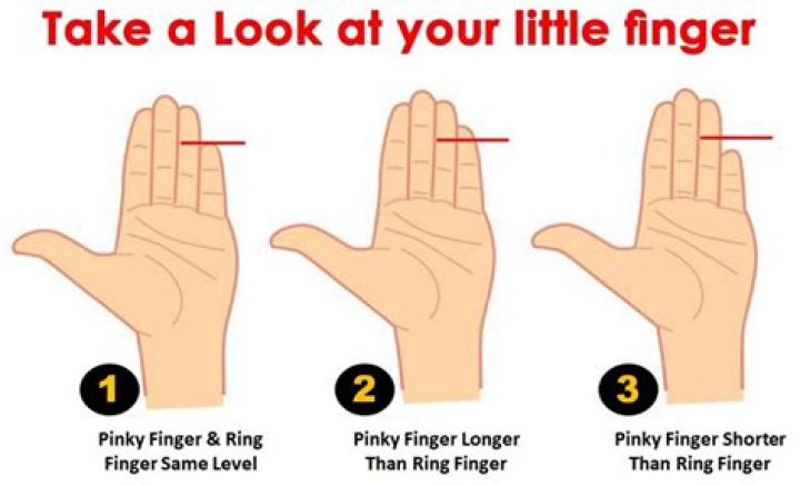 Why are pinky fingers so short?