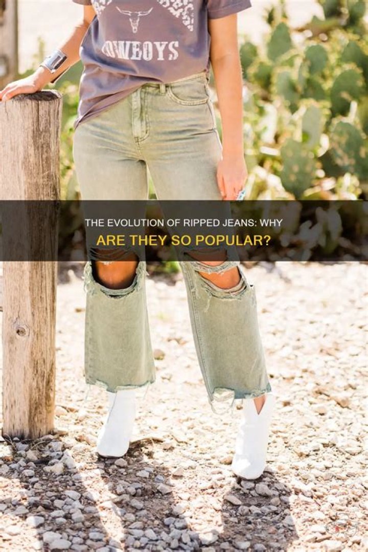 Why are ripped jeans popular?