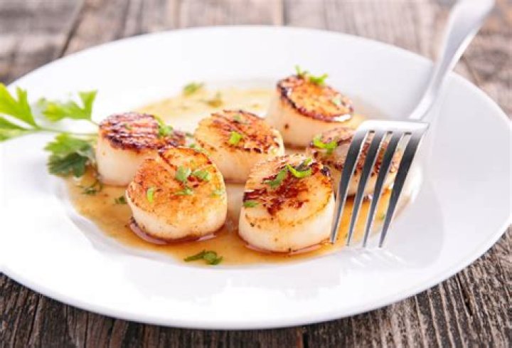 Why are scallops not vegan?