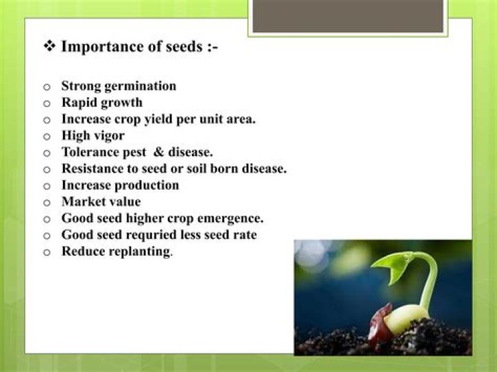 Why are seeds latent?