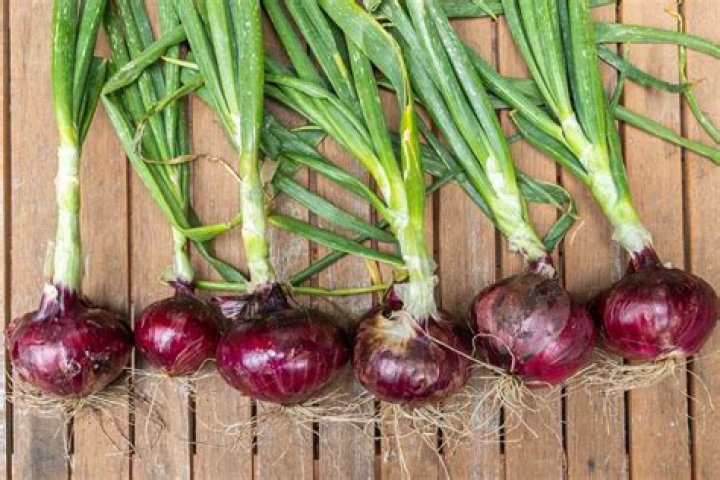 Why can't I eat red onion?