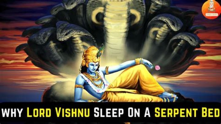 Why did Lord Vishnu sleep on snake?
