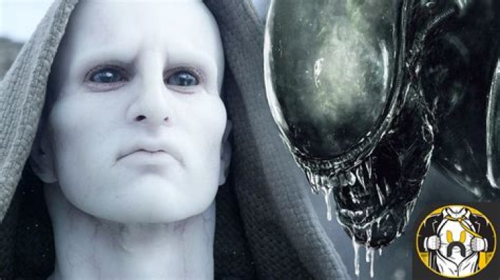 Why did the Engineers create the Xenomorphs?