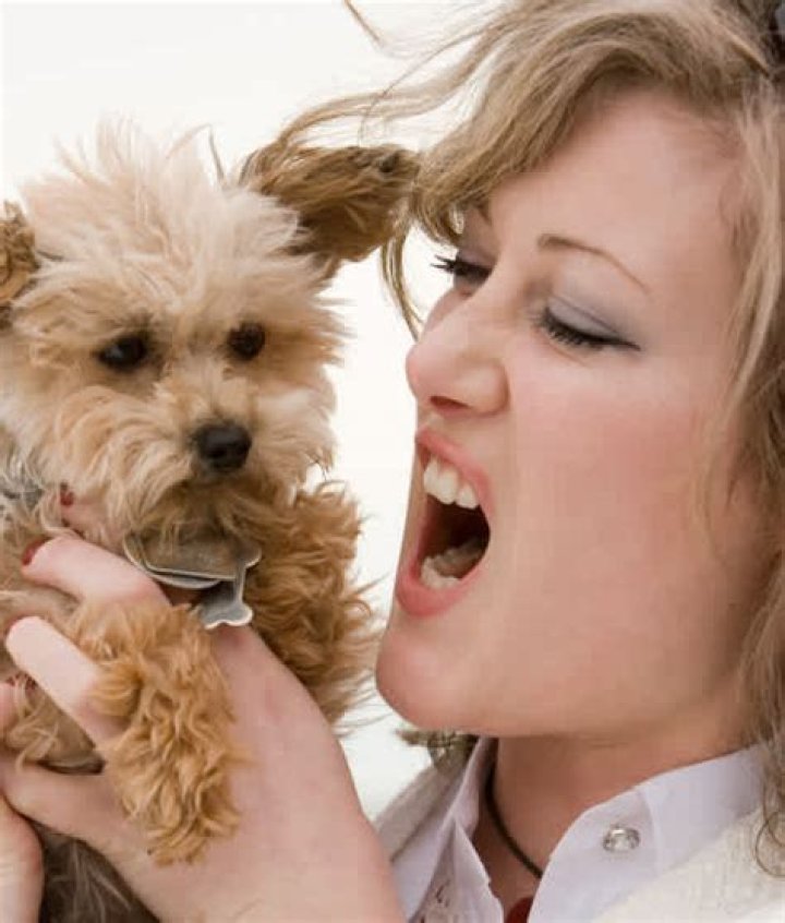 Why do dogs hate puppies?