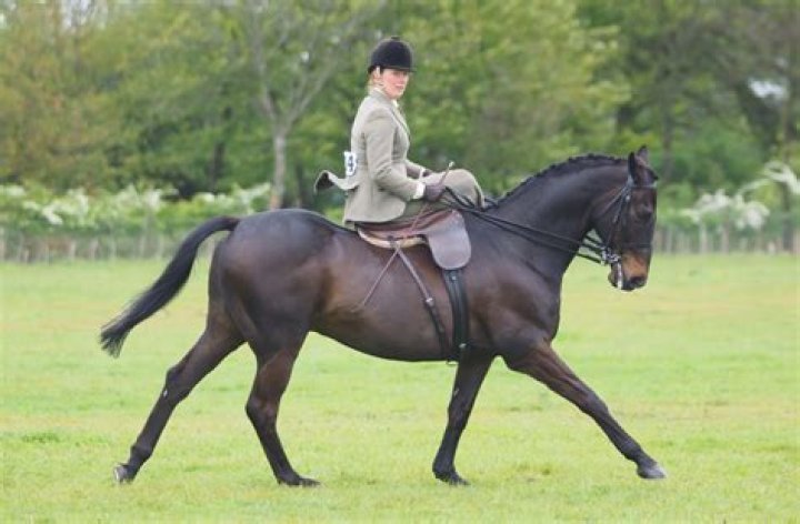 Why do girls side-saddle?