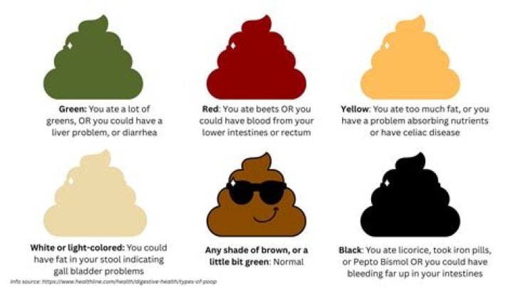 Why do humans poop?