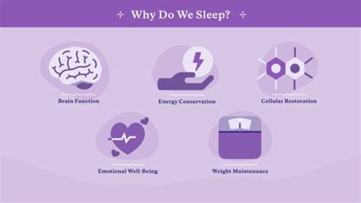 Why do I sleep long?