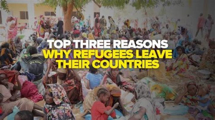 Why do immigrants leave?