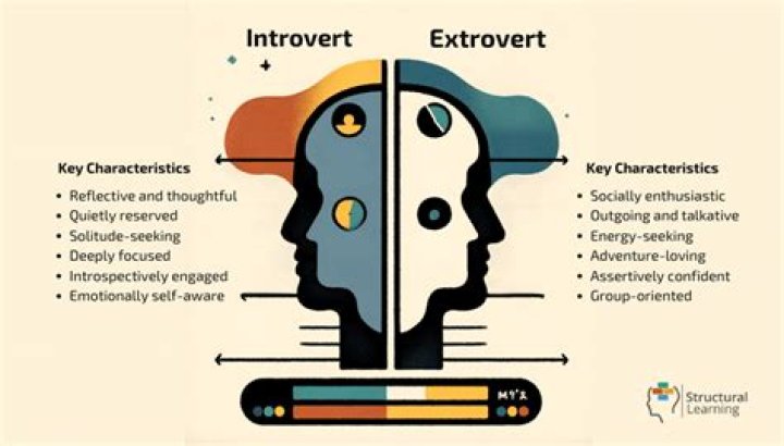 Why do introverts crave alone time?