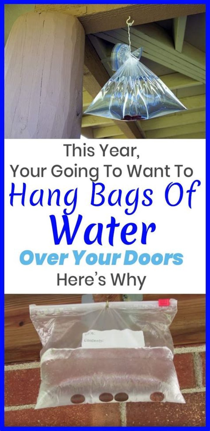 Why do people hang bags of water outside their house?
