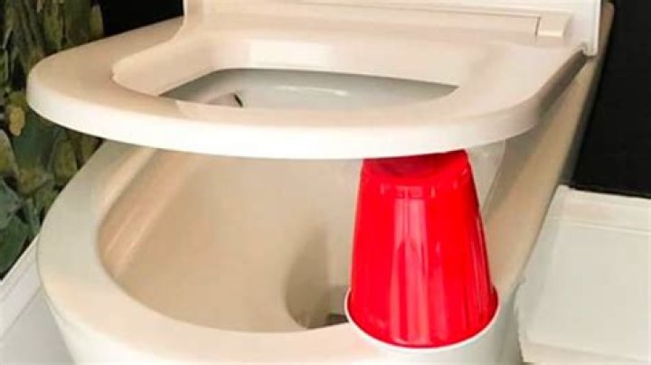 Why do people put carpet on toilet seat?