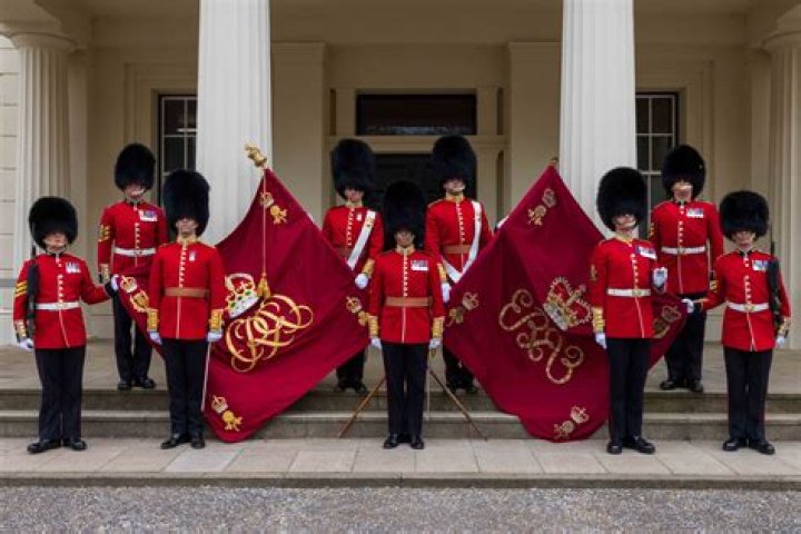 Why do some Queen's guards wear GREY?