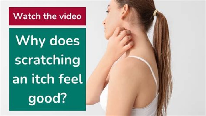 Why does it feel good to shower?
