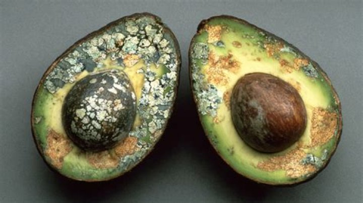 Why does my avocado oil smell weird?