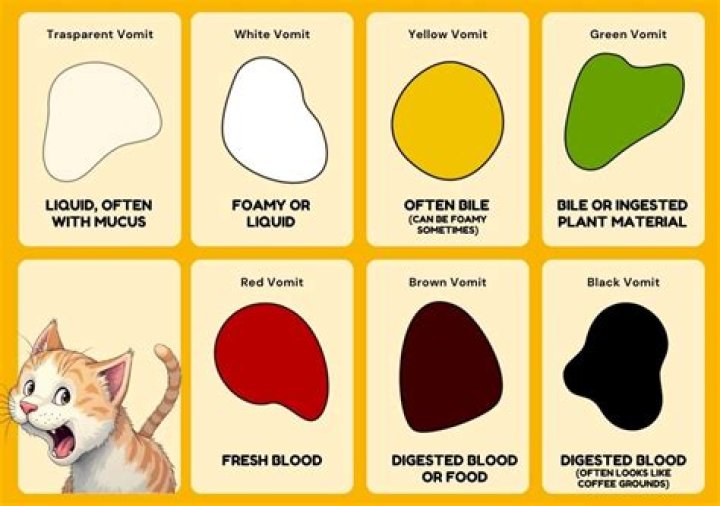 Why does my cat squirt white liquid?