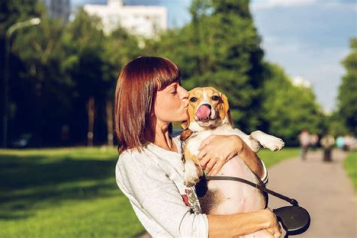 Why does my dog growl when I hug her?