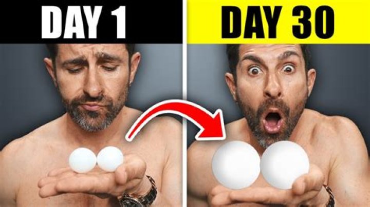 Why does my rat have big balls?