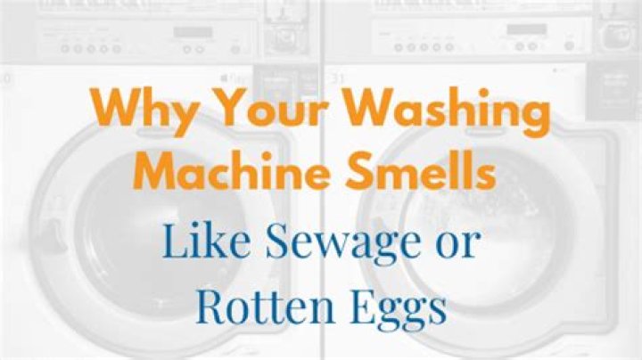 Why does my washing machine smell like rotten eggs?