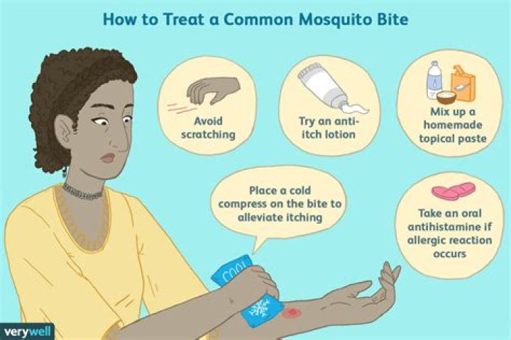 Why does scratching mosquito bite feel so good?