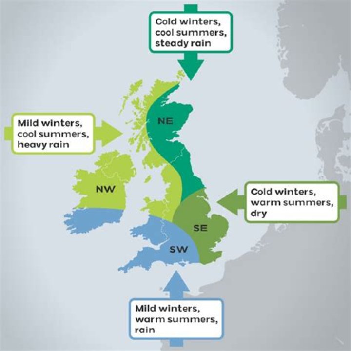 Why does the UK have so little forests?