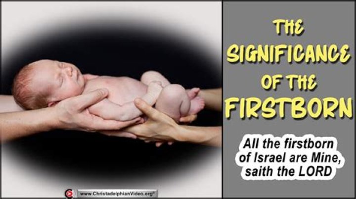 Why first born are more intelligent?
