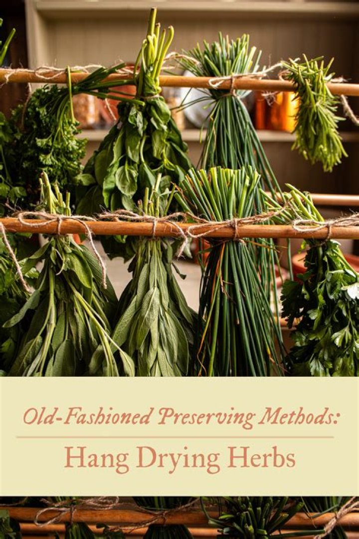 Why hang herbs upside down to dry?