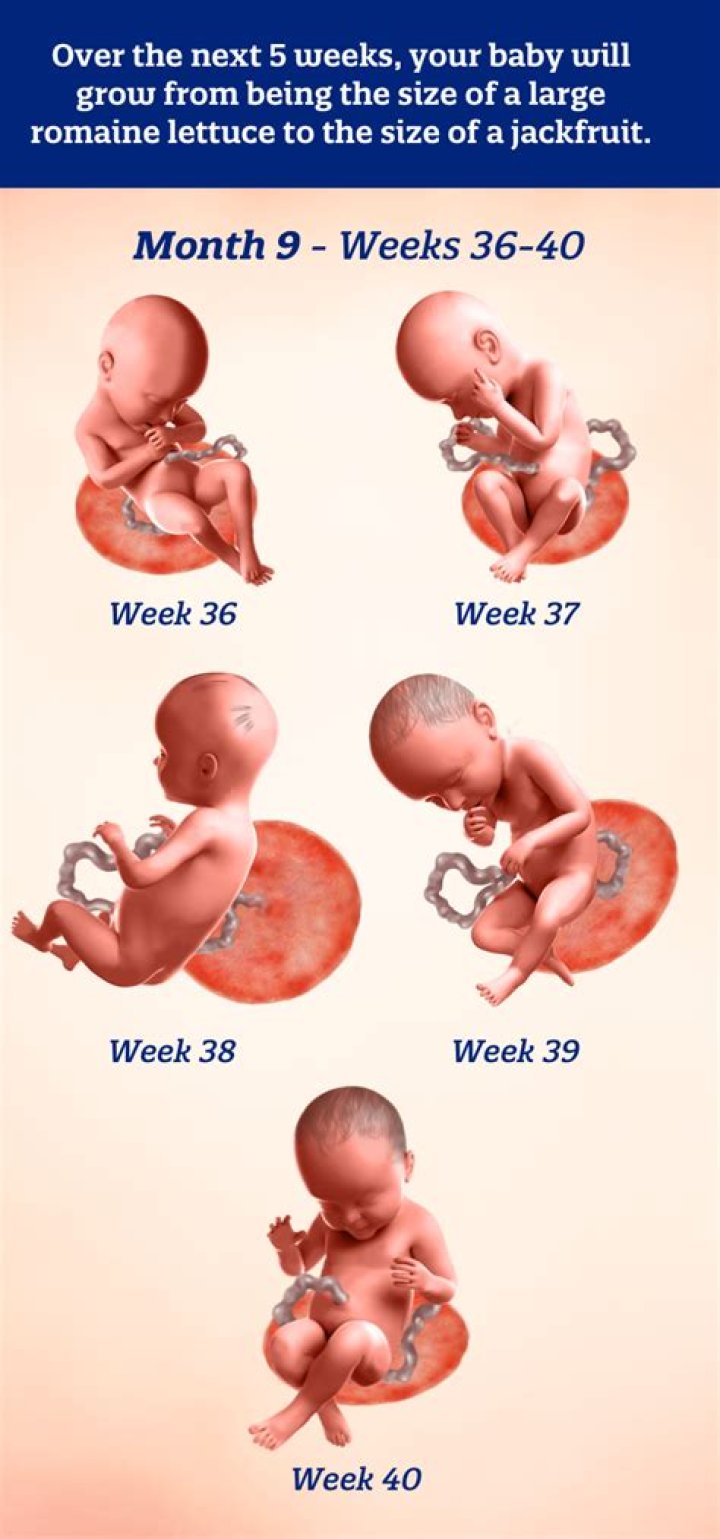 Why is it 9 months but 40 weeks?