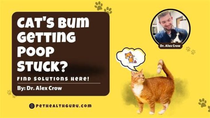 Why is my poop sticking to my bum?