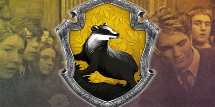 Why is Ron not in Hufflepuff?