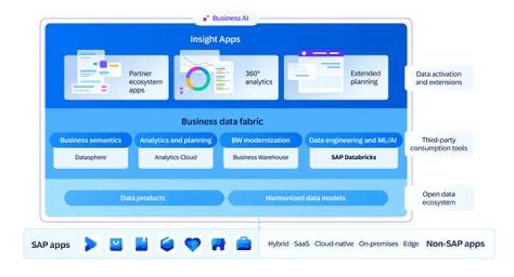 Why is SAP successful?