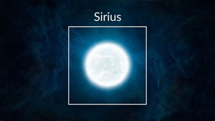 Why is Sirius a dog?