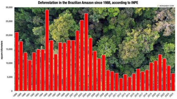 Why is the deforestation of tropical rain forest a complex problem?