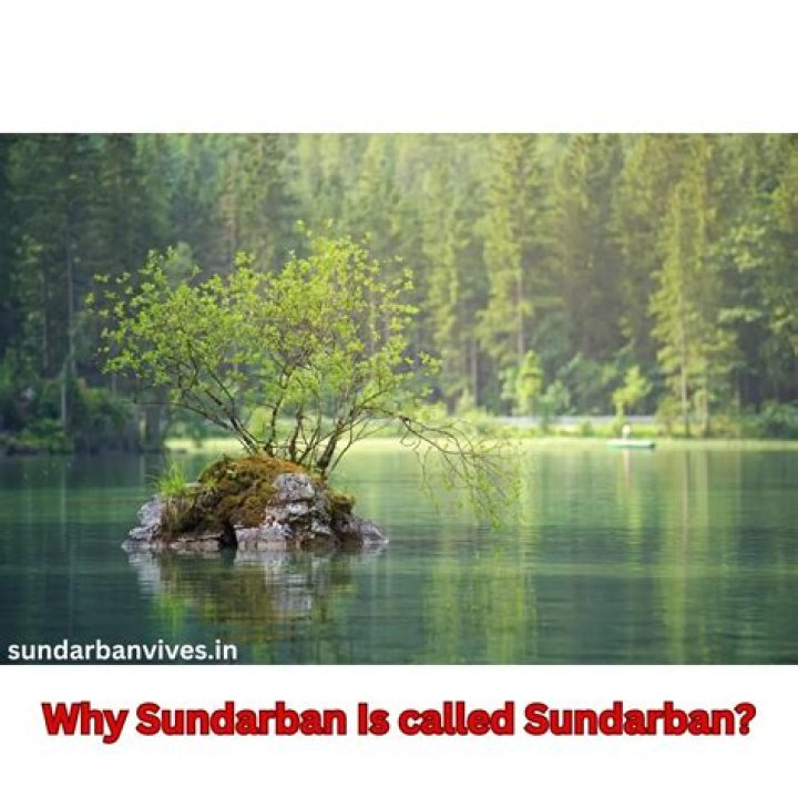 Why Sundarban is called Sundarban?